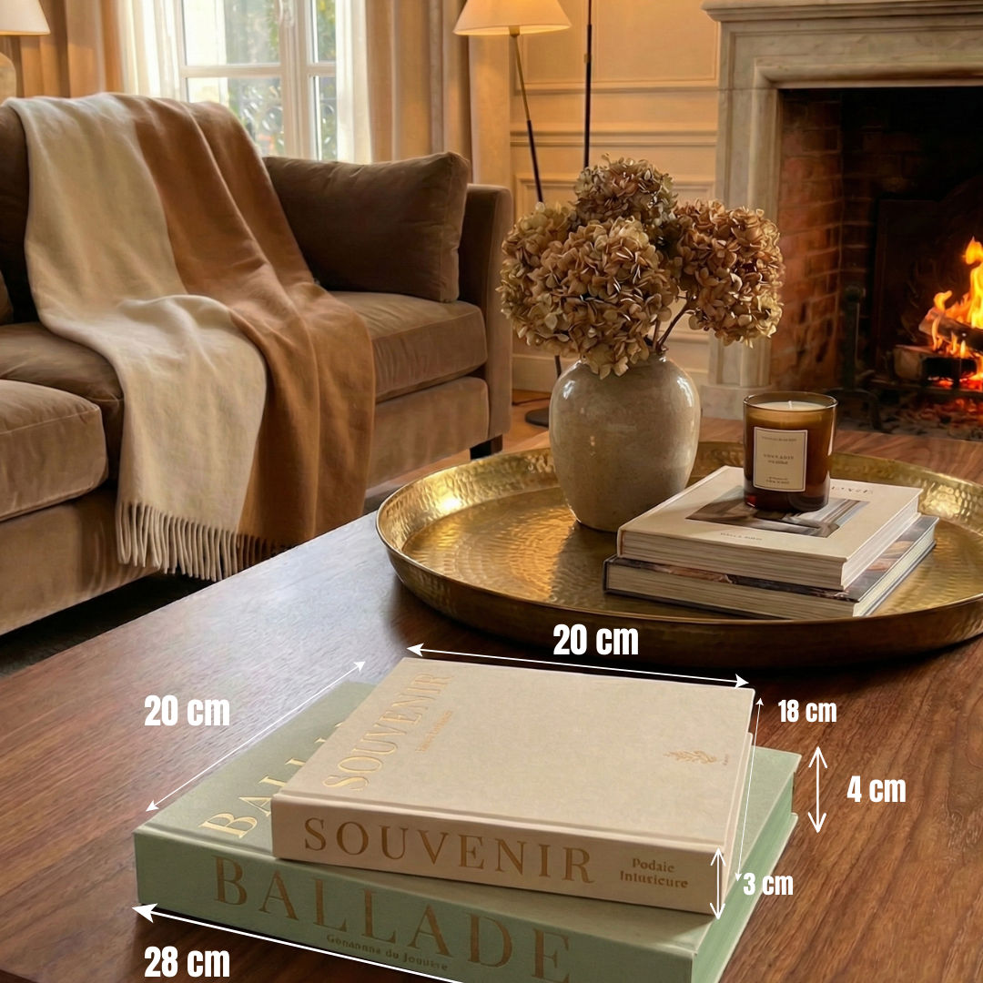 Faux livres décoration d'intérieur en lin – Lot de 2 boîtes secrètes