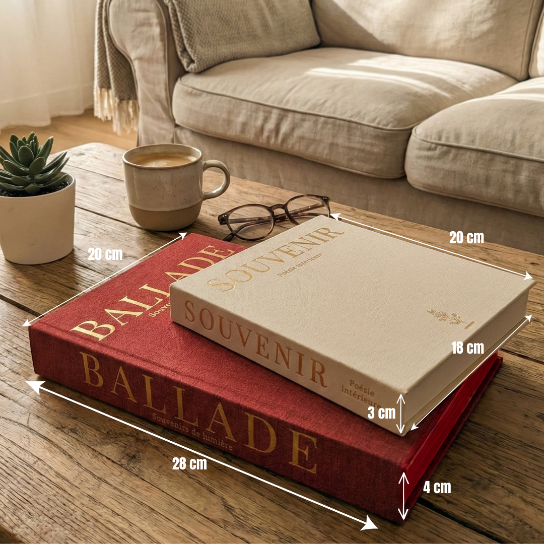 Faux livres décoration d'intérieur en lin – Lot de 2 boîtes secrètes