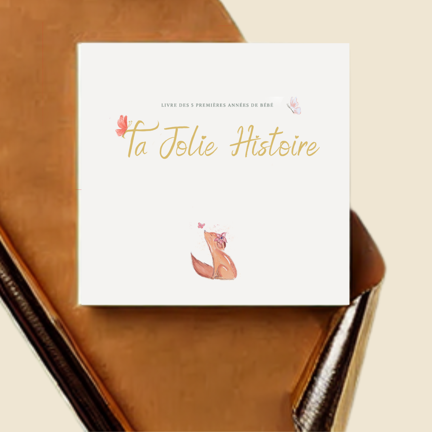 Livre de naissance bébé