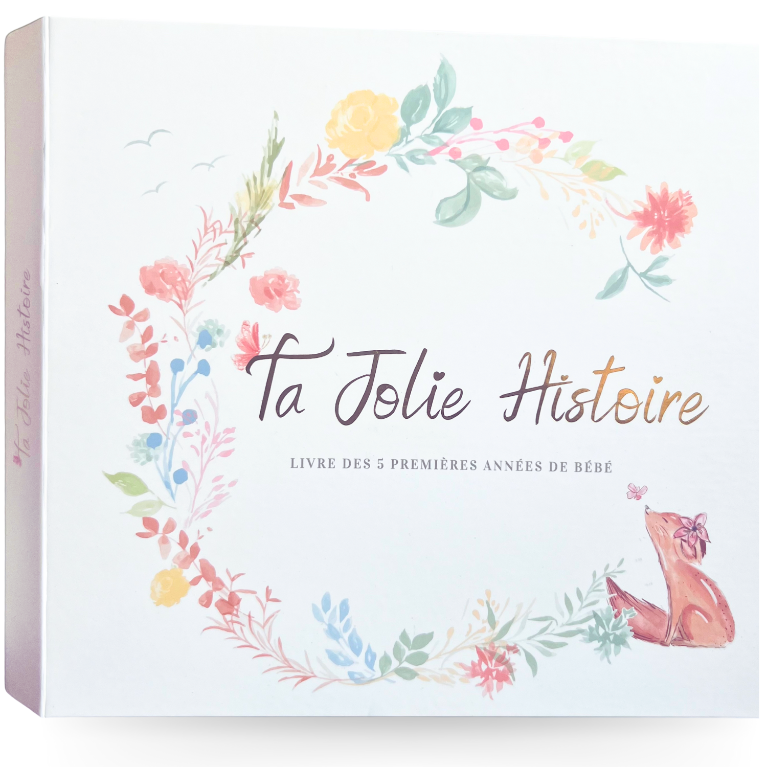 Livre de naissance bébé