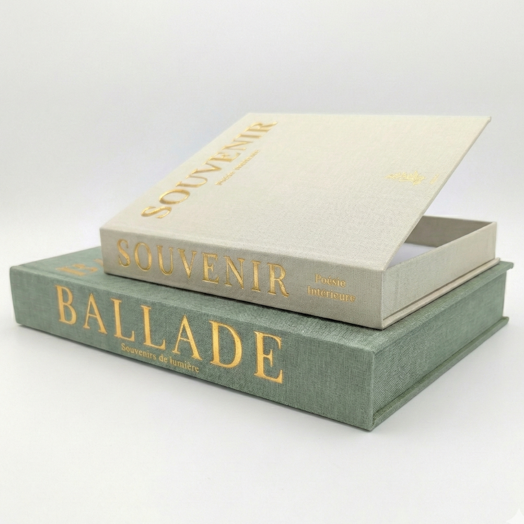 Faux livres décoration d'intérieur en lin – Lot de 2 boîtes secrètes